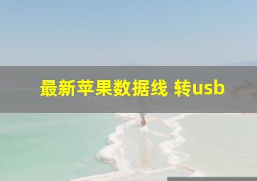 最新苹果数据线 转usb